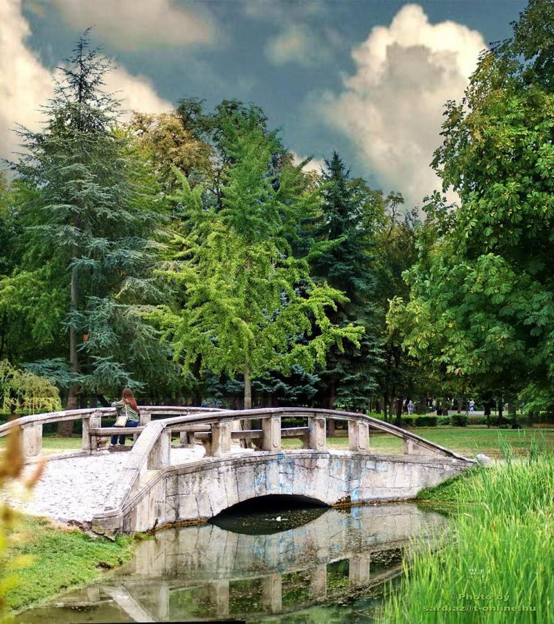 Sziget Apartman Eger Buitenkant foto