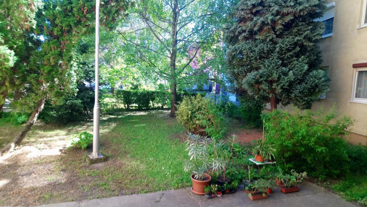 Sziget Apartman Eger Buitenkant foto